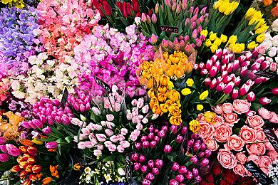 《上古卷轴OL：落旗》地下城DLC现已登陆PC平台