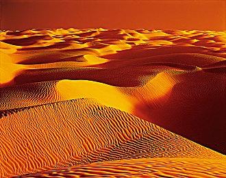 《寂静岭2RE》 第一后裔涩涩皮肤Mod 大家都说好